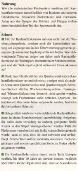 Faltblatt 'Die Rauhautfledermaus' (Seite 5)